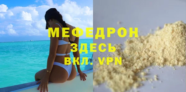 индика Богородск