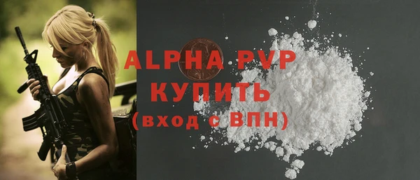 индика Богородск