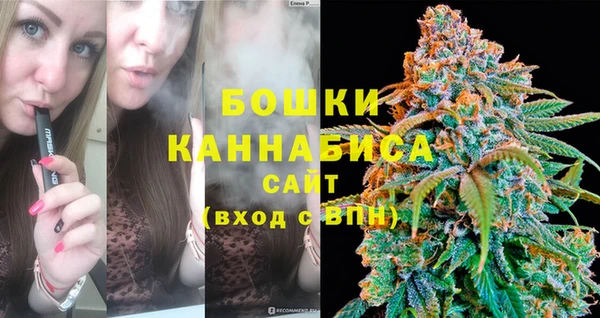 дживик Богородицк