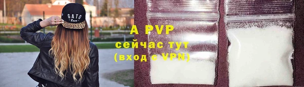 дживик Богородицк