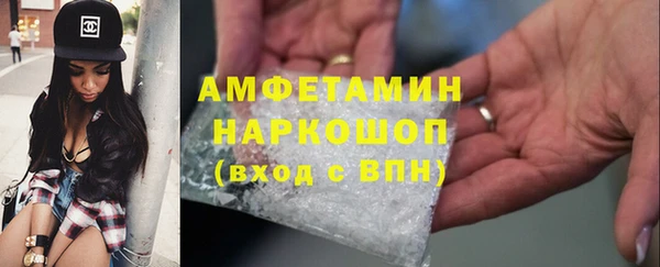 индика Богородск