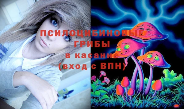 spice Тавда