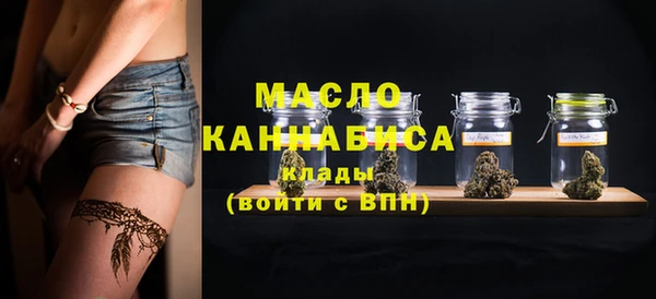 индика Богородск