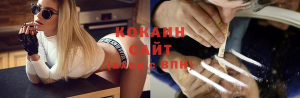 индика Богородск