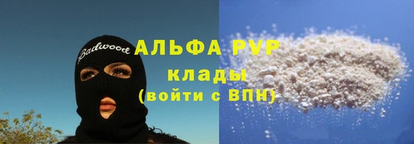 индика Богородск