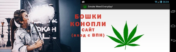 индика Богородск