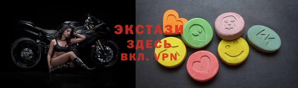 дживик Богородицк
