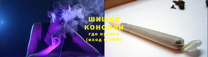 apvp Богданович