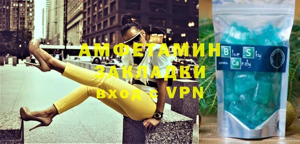 индика Богородск