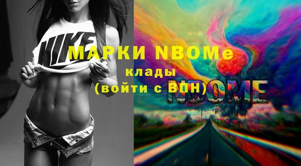 дживик Богородицк