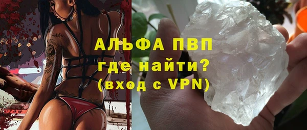 индика Богородск