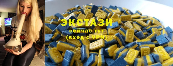 дживик Богородицк