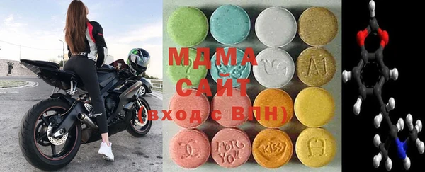 индика Богородск
