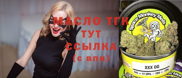 дживик Богородицк